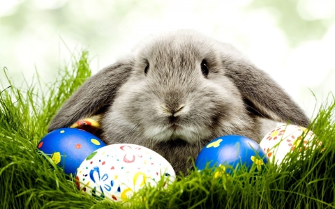 Happy Easter! – 2013